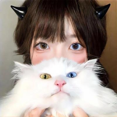 魔术师：不可能的生活